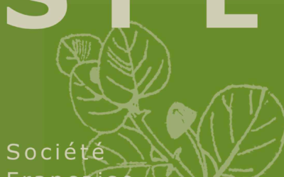Formation : Plantes médicinales  et médecines du 21ème siècle